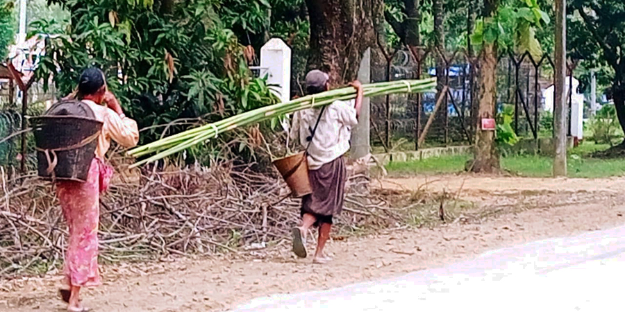 မုန်တိုင်းသင့် မောင်တောတွင် ဝါးဈေး မြင့်တက်သဖြင့် နေအိမ်များ မပြုပြင်နိုင်သေး