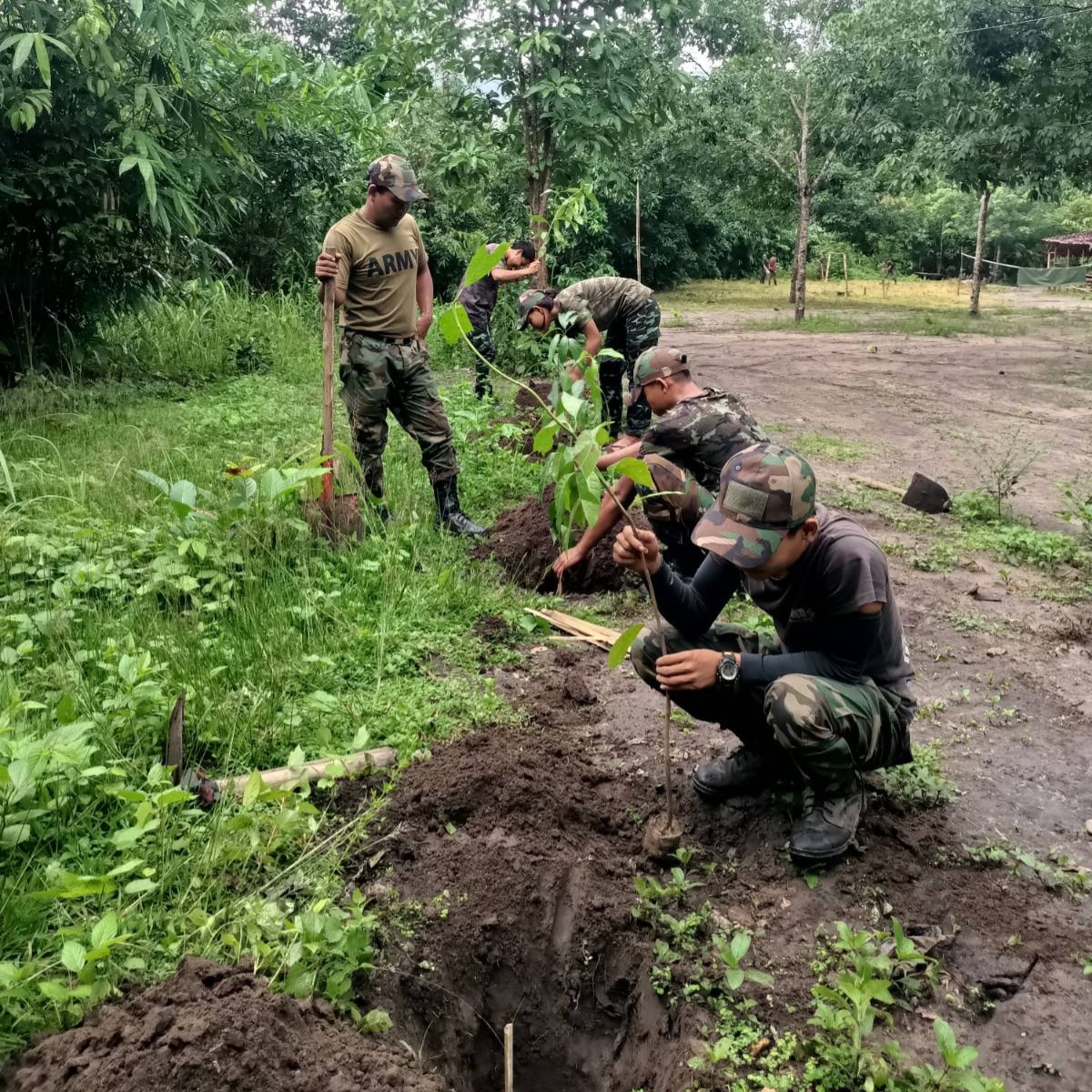 ၇၈ နှစ်ပြည့် နိုင်ငံ့ခေါင်းဆောင်မွေးနေ့ဂုဏ်ပြု စိန်တလုံးသရက် ၇၈ ပင် စိုက်ပျိုး(ဓာတ်ပုံ)