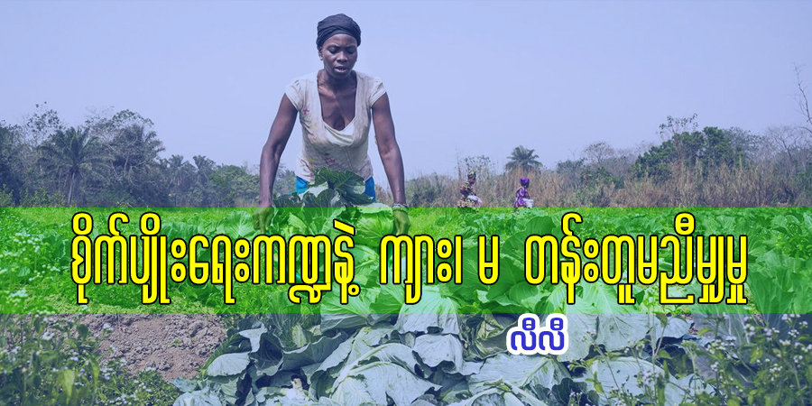 စိုက်ပျိုးရေးကဏ္ဍနဲ့ ကျား၊ ‌မ တန်းတူမညီမျှမှု 