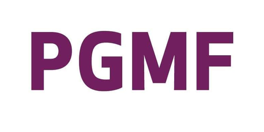 စစ်ကောင်စီဥပဒေသစ်ကြောင့် PGMF အသေးစားငွေချေးလုပ်ငန်း ပိတ်သိမ်း