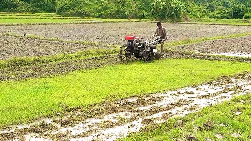 မိုခါမုန်တိုင်းသင့် ရခိုင်လယ်သမားများ မျိုးစပါးနှင့် ဓာတ်မြေသြဇာ အကူအညီလိုအပ်နေ