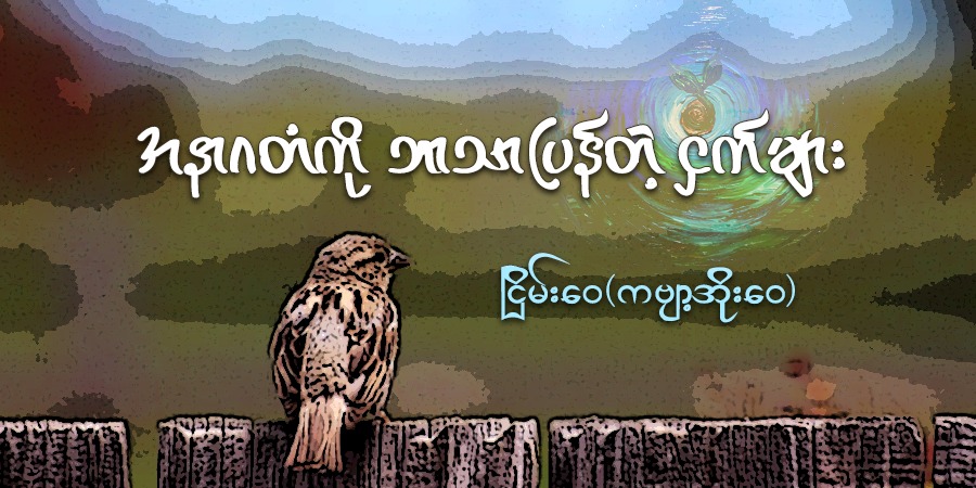 အနာဂတံကို ဘာသာပြန်တဲ့ ငှက်များ