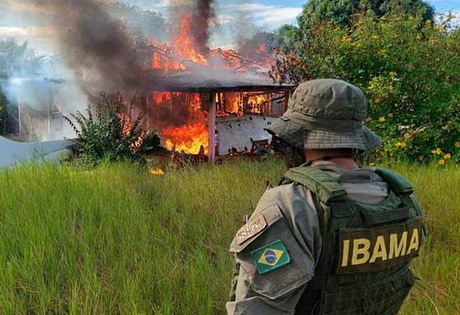 အမေဇုန်တောအတွင်း တရားမဝင်ရွှေထုတ်နေသည့် သောင်တူးသင်္ဘောများကို ဖျက်ဆီး