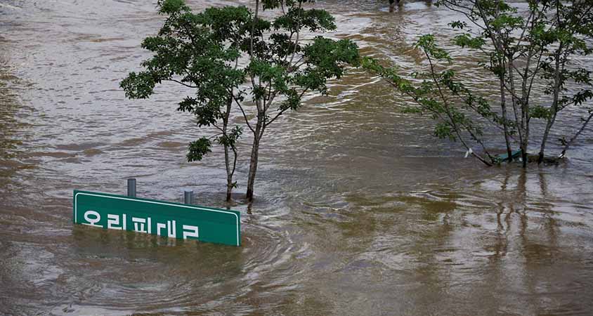 ရာသီဥတုဆိုးရွားမှုကြောင့် တောင်ကိုရီးယားတွင် ဟင်းသီးဟင်းရွက်စိုက်ပျိုးရေး ထိခိုက်ပြီး ဈေးတက်