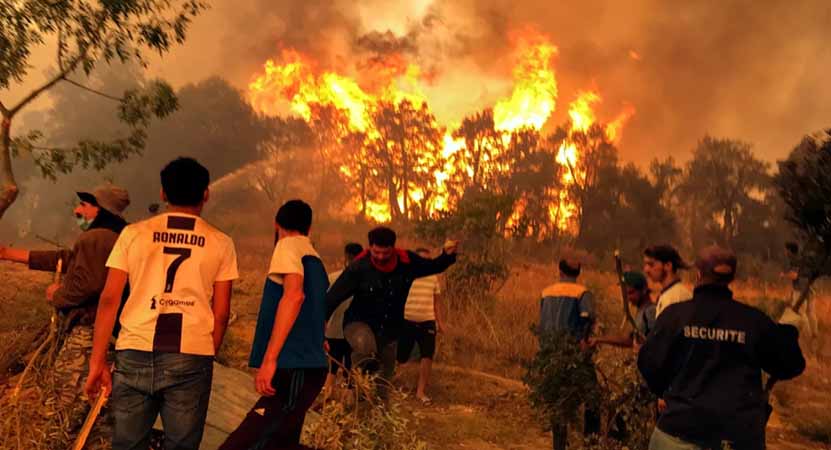အယ်လ်ဂျီးရီးယာ တောမီး လူ ၁၅ ဦး သေဆုံး