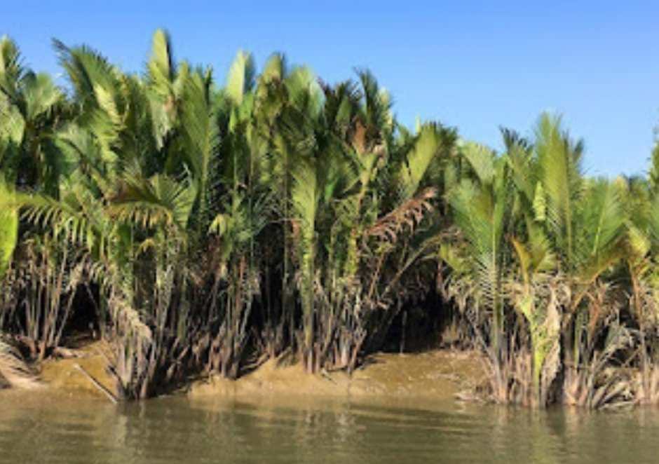 ဘိုကလေးတွင် ငါးဖမ်းပိုက်သွားဖော်သည့် ရွာသား ၁ ဦး မိကျောင်းဆွဲခံရ