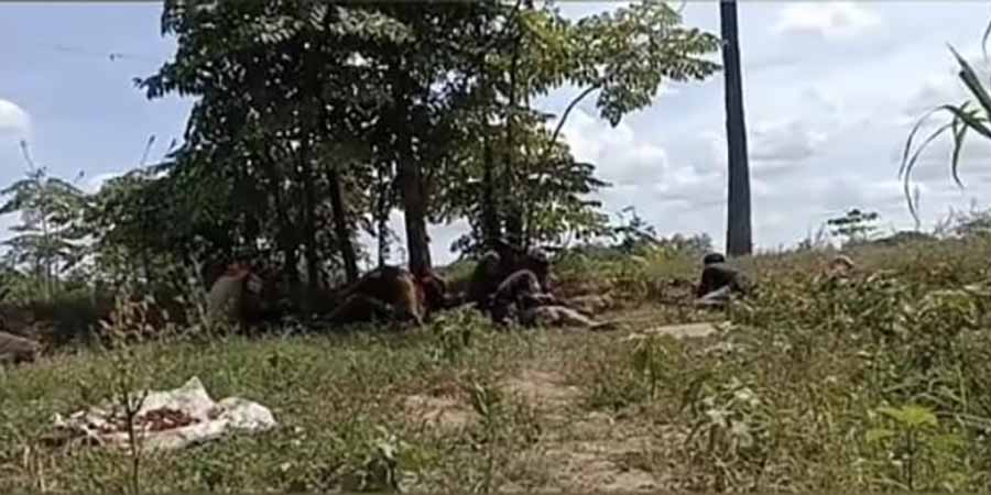 မြောင်တွင် စစ်ကောင်စီတပ်သားများ တိုက်ခိုက်ခံရပြီး ထိခိုက်သေဆုံးသူများနိုင်
