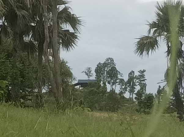 ပေါက်မြို့နယ်တွင် ပျူစောထီးကင်းတဲ တိုက်ခိုက်ခံရပြီး ၁ ဦးသေဆုံး