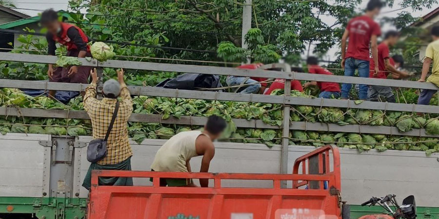 ရေကြီးပြီး နယ်စပ်ကို ကုန်ကားများ ထွက်မရသဖြင့် ဂေါ်ဖီထုပ်စျေးနှုန်း ကျဆင်း