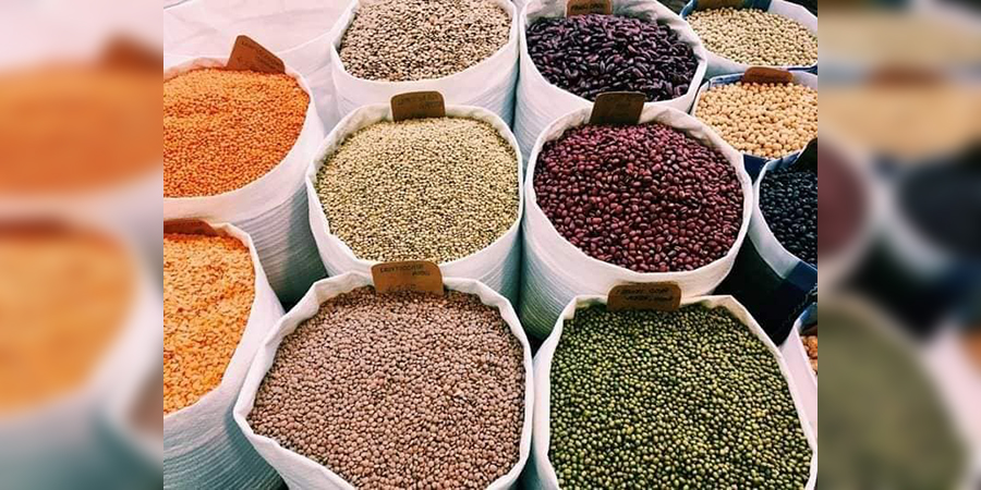 အိန္ဒိယက အဝယ်လိုက်သဖြင့် ပဲစင်းငုံစျေး မြင့်တက်