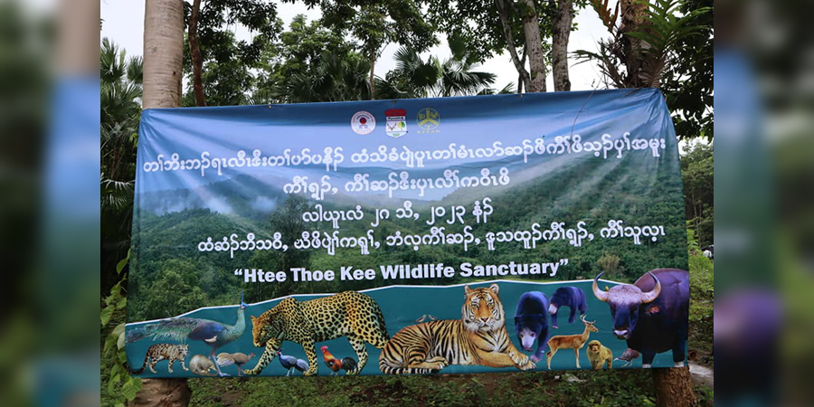 ထီးသိုးခီးတောကို သားရိုင်းတိရစ္ဆာန် ဘေးမဲ့တောအဖြစ် ကေအန်ယူ သတ်မှတ်ကြေညာ