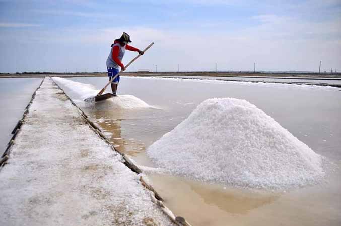 ဆားကြမ်းစျေးကောင်းပြီး အရောင်းသွက်နေ