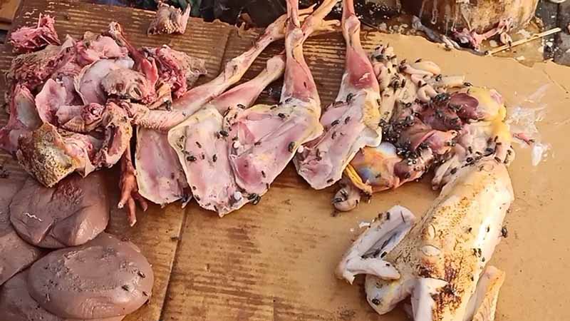 စစ်တွေပျံကျစျေးအနီးရှိ အမှိုက်များ မရှင်းလင်း၍ ယင်ကောင်အများအပြားကျနေ
