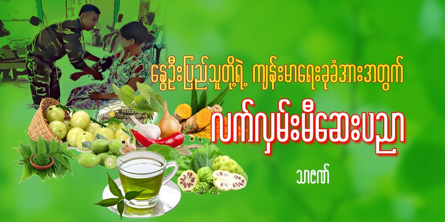 နွေဦးပြည်သူတို့ရဲ့ ကျန်းမာရေးခုခံအားအတွက် လက်လှမ်းမီဆေးပညာ
