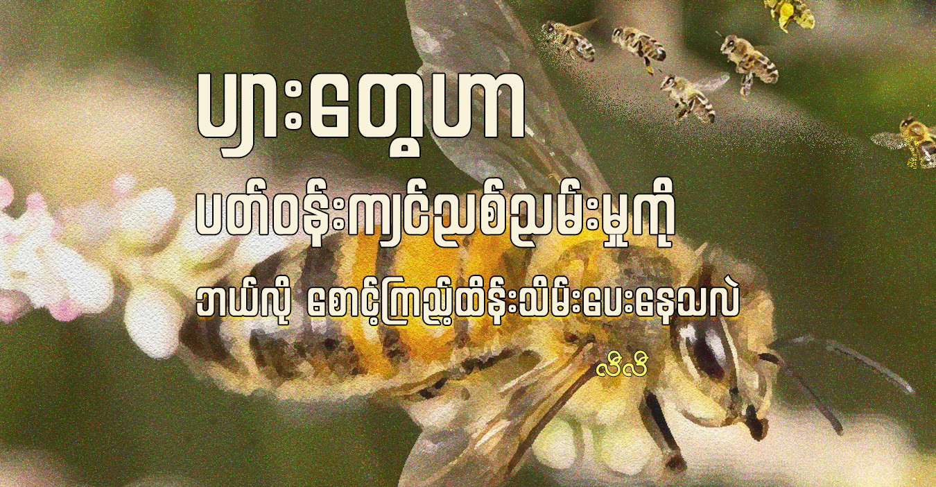 ပျားတွေဟာ ပတ်ဝန်းကျင်ညစ်ညမ်းမှုကို ဘယ်လို စောင့်ကြည့်ထိန်းသိမ်းပေးနေသလဲ