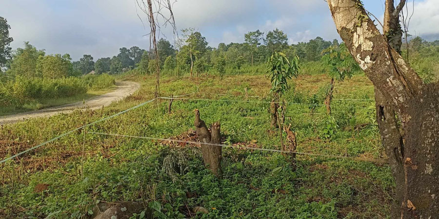 ပူတာအိုတွင် ဗိုလ်မှူး ၁ ဦးက ဒေသခံများ၏ မြေ ၁၀ ဧကကို မတရားသိမ်းယူ