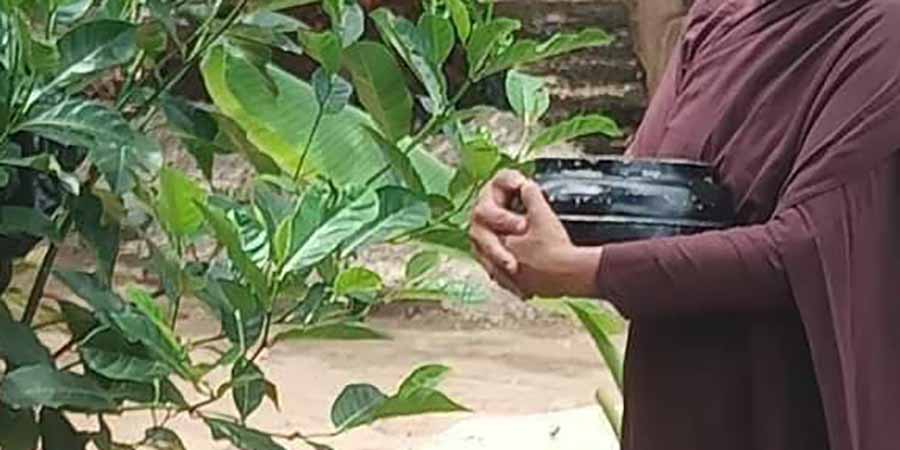 ပြည်မြို့တွင် သပိတ်နှင့်ဆွမ်းခံသည့် သီလရှင်ကို လူဝတ်လဲပြီး နယ်နှင်ဒဏ်ပေး
