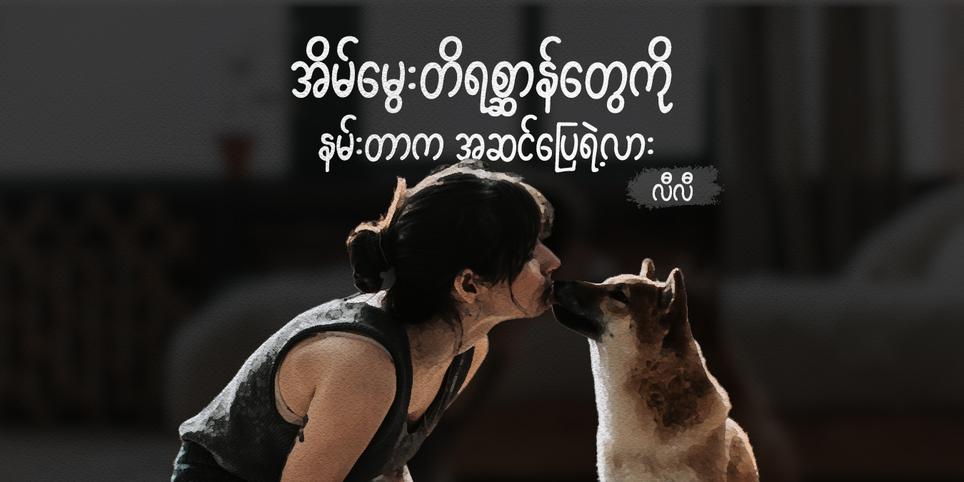 အိမ်မွေးတိရစ္ဆာန်တွေကို နမ်းတာက အဆင်ပြေရဲ့လား