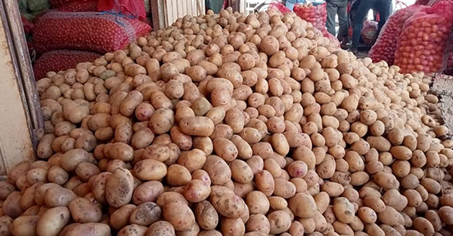 တရုတ်အာလူးများ ဝင်ရောက်လာသဖြင့် ဒေသထွက်အာလူးများ ဈေးထိုးကျ