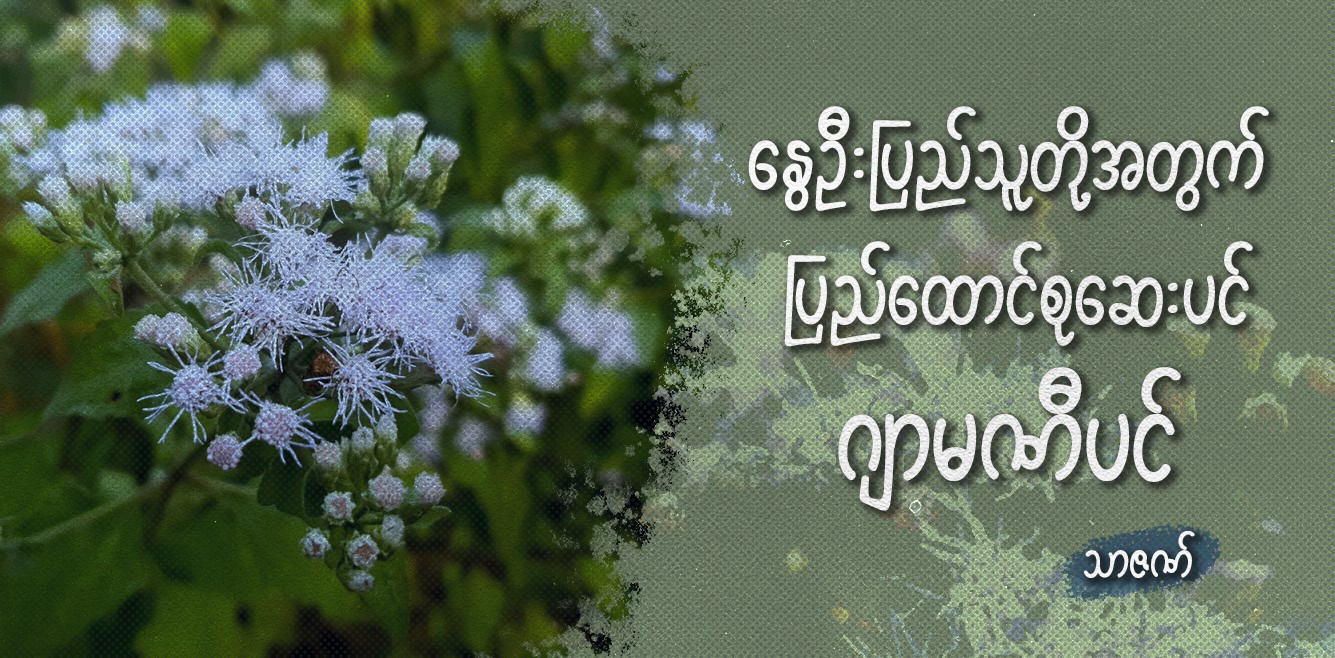 နွေဦးပြည်သူတို့အတွက် ပြည်ထောင်စုဆေးပင် ဂျာမဏီပင်