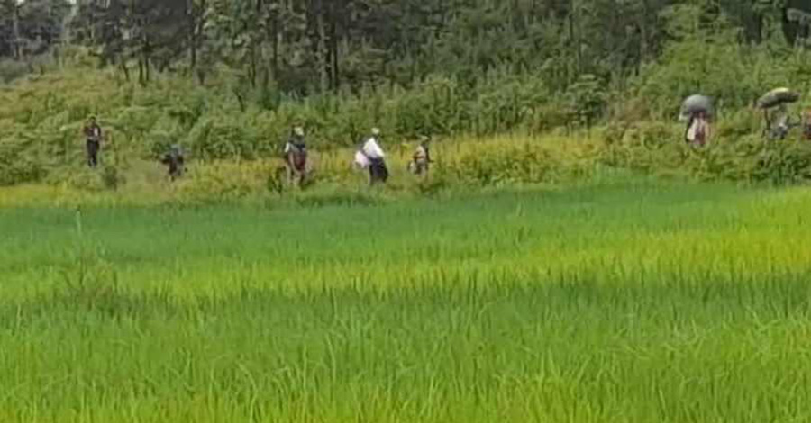 မင်းလှမြို့နယ်ရှိ ရွာ ၅ ရွာကို စစ်တပ်က လက်နက်ပြီးပစ်ခတ်ပြီး ဖယ်ရှားခိုင်း