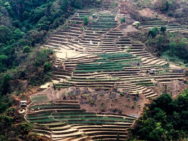 ခ်င္းျပည္နယ္တြင္ မိုးေခါင္၍ ရြာေပါင္း ၁၀၀ နီးပါး ေတာင္ယာ စပါးမ်ားပ်က္စီး