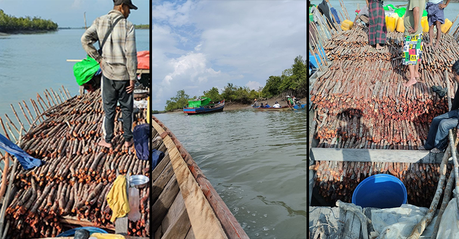 ရမ်းဗြဲမြို့နယ်ရှိ ဝန်ဗိုက်ဒီရေတော၌ သစ်များခိုးထုတ်ခံနေရ