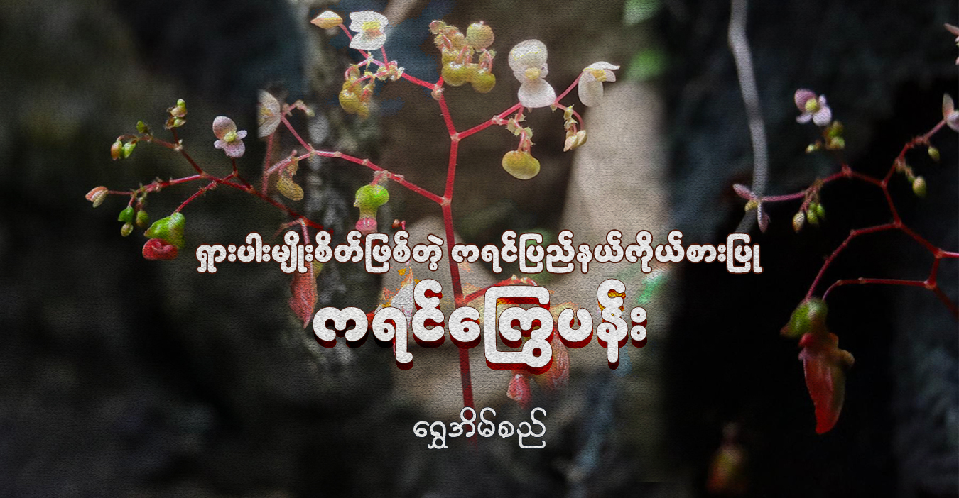 ရှားပါးမျိုးစိတ်ဖြစ်တဲ့ ကရင်ပြည်နယ်ကိုယ်စားပြု ကရင်ကြွေပန်း