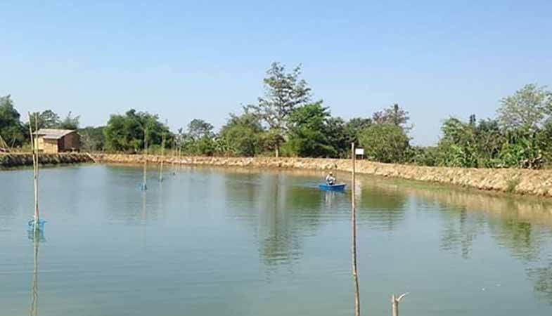 ရေနစ်မြုပ်ခဲ့သည့် ပဲခူးက ငါးကန်များကို ငါးသားပေါက်များ ထည့်ပေးမည်