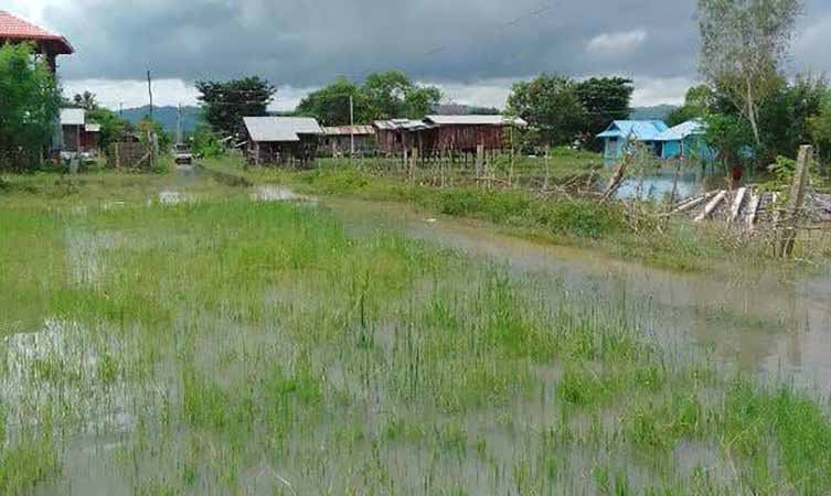 ဘီလူးချောင်းရေကြီးပြီး  ရှမ်း-ကရင်နီနယ်စပ် လယ်ဧက ထောင်ချီရေနစ်မြုပ်ပျက်စီး