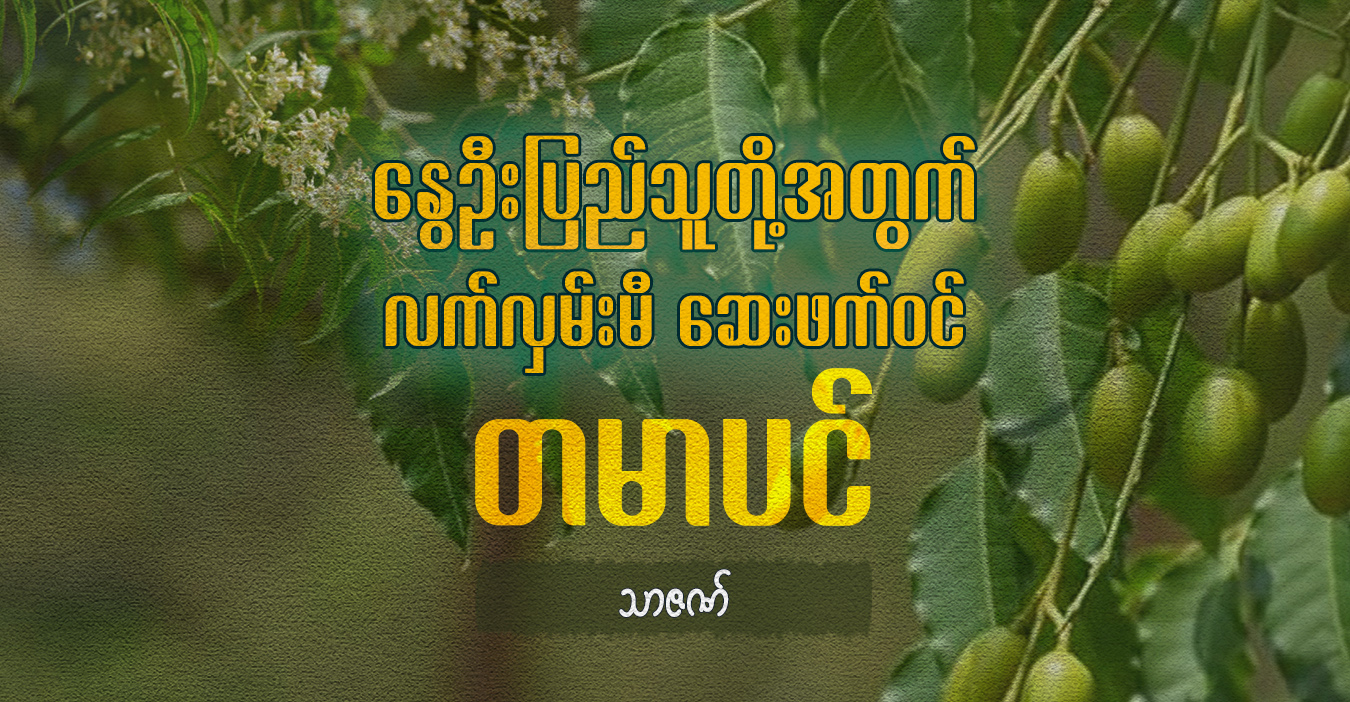 နွေဦးပြည်သူတို့အတွက် လက်လှမ်းမီ ဆေးဖက်ဝင် တမာပင်