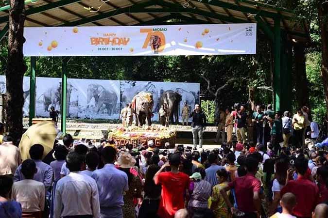 ဆင်မကြီးမိုမို အသက် ၇၀ ပြည့် မွေးနေ့ကျင်းပ