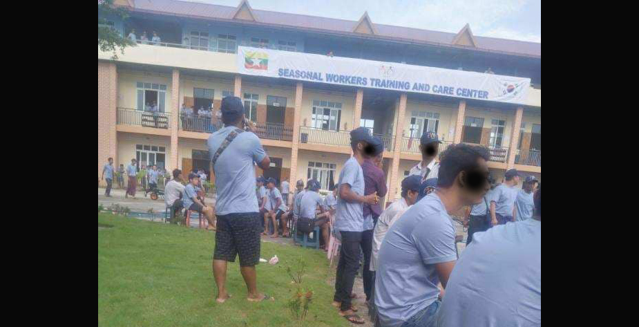 ကြံ့ခိုင်ရေးပါတီက ကိုရီးယားကိုပို့ပေးမယ်ဆိုပြီး တရားမဝင် အလုပ်သမား စုဆောင်းနေ