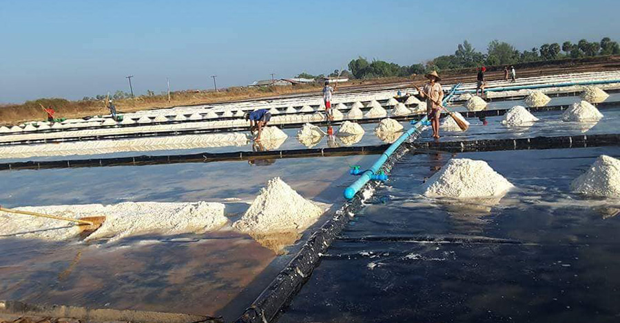 မွန်ပြည်နယ်ထွက် ဆားကြမ်းကို တောင်ကိုရီးယားနှင့် ဂျပန်နိုင်ငံသို့ တင်ပို့မည်