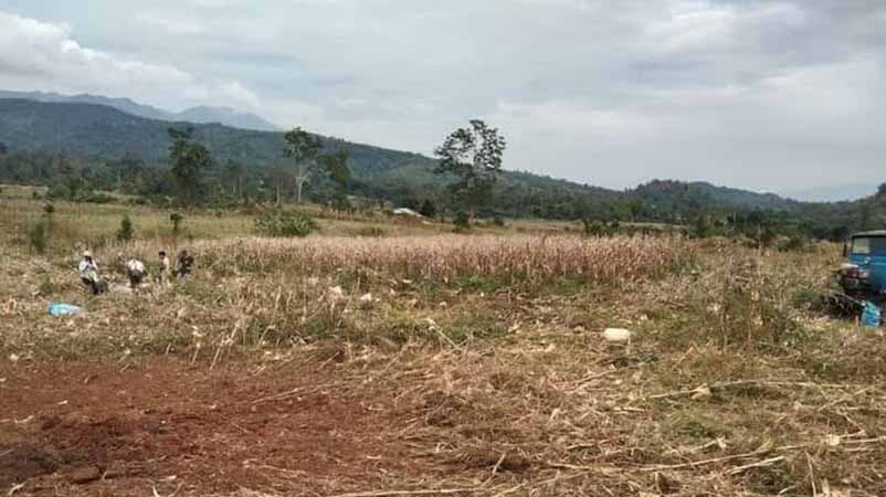 လားရှိုးမြို့နယ်၌ ယာခင်းထဲ လက်နက်ကြီးကျည်ကျပြီး ရွာသူ ၁ ဦး ထိမှန်သေဆုံး
