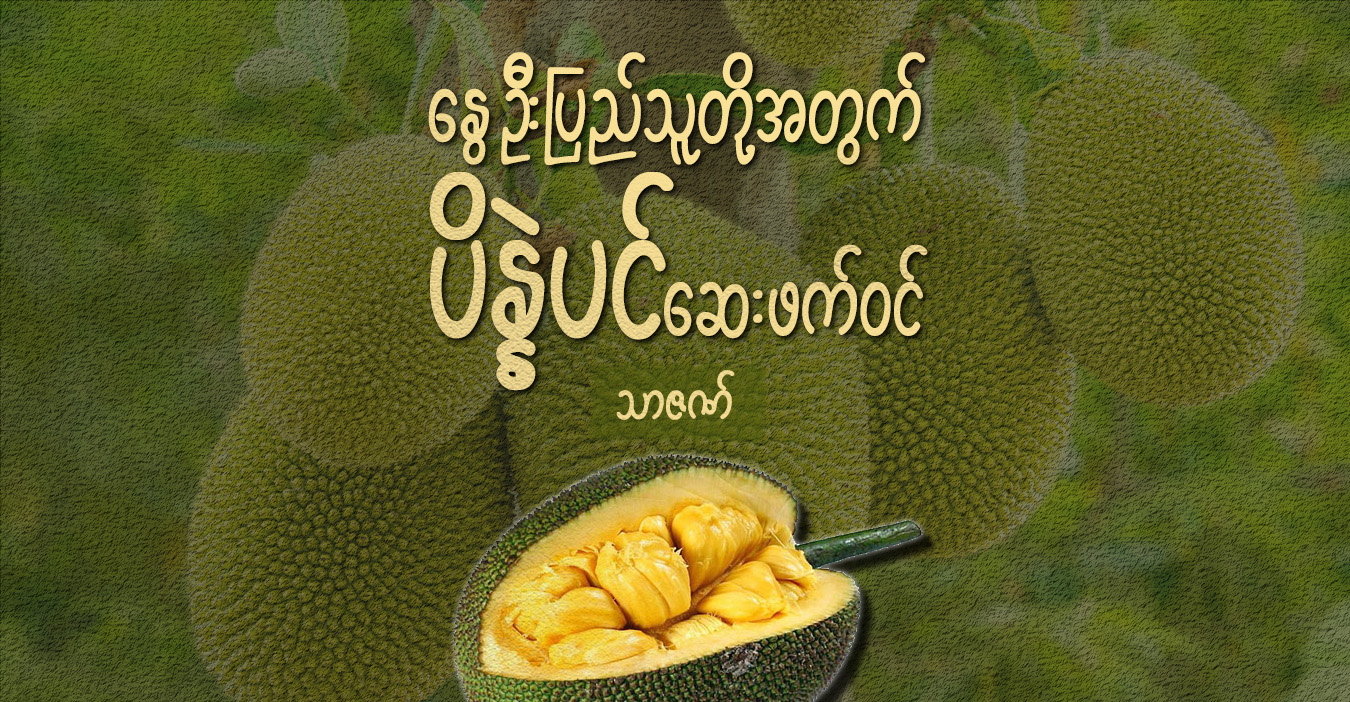 ‌နွေဦးပြည်သူတို့အတွက် ပိန္နဲပင် ဆေးဖက်ဝင်