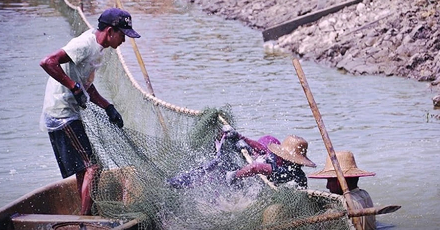 ရန်ကုန်မြစ်အတွင်း တံငါသည်များထံက  စစ်ကောင်စီ လစဥ်ကြေး ကောက်ခံ 