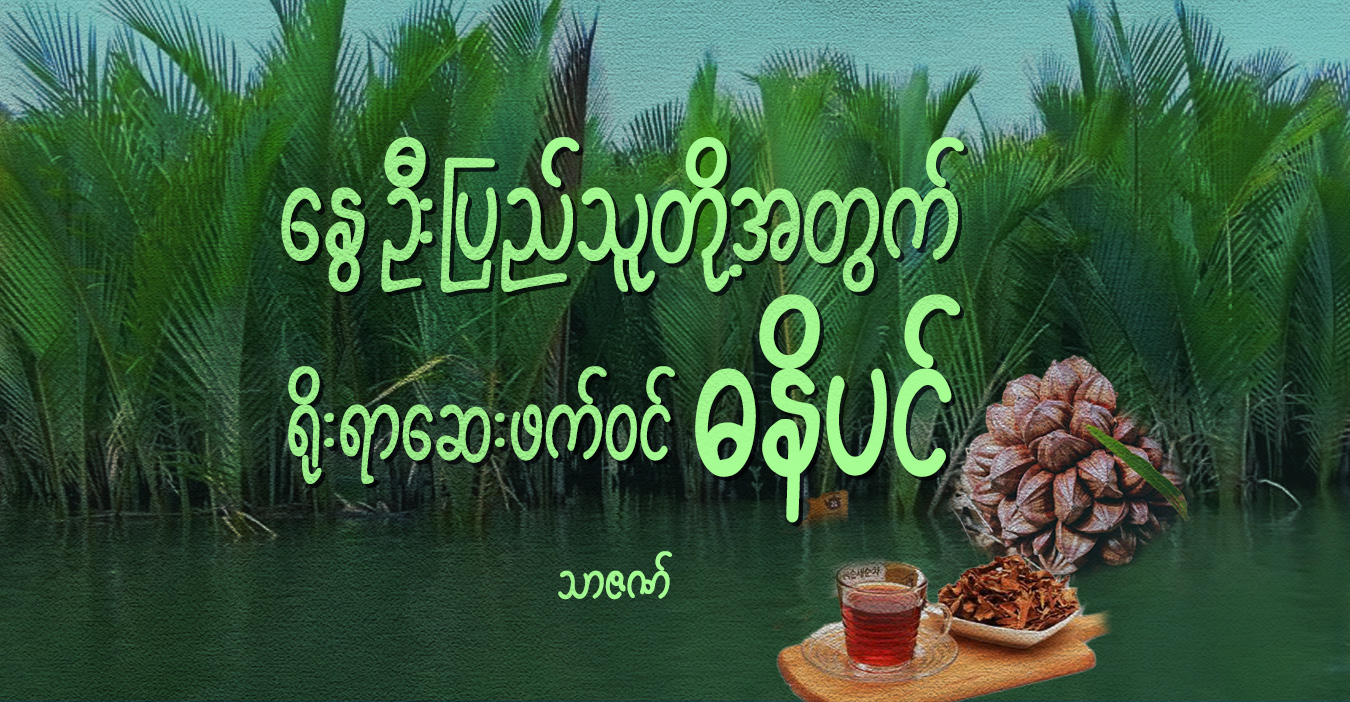 နွေဦးပြည်သူတို့အတွက် ရိုးရာဆေးဖက်ဝင် ဓနိပင်