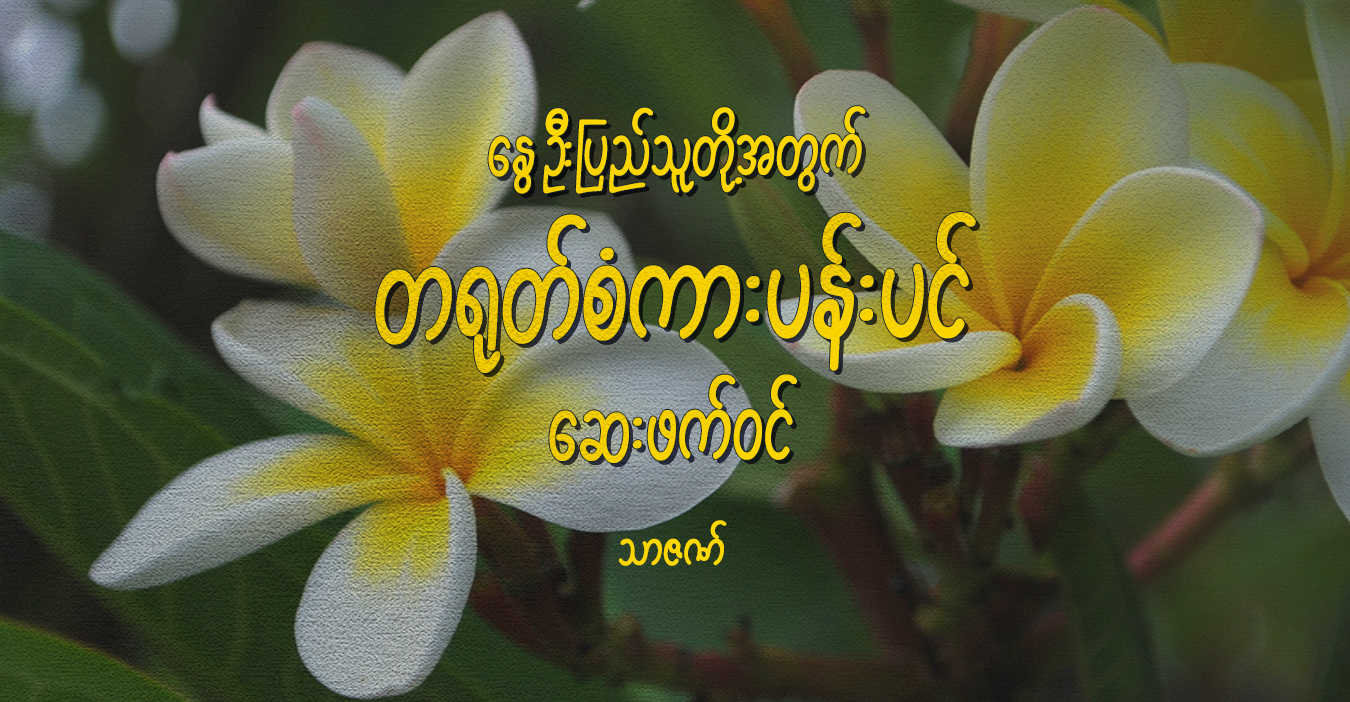 နွေဦးပြည်သူတို့အတွက် တရုတ်စံကားပန်းပင် ဆေးဖက်ဝင်