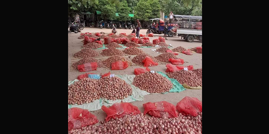 ဝယ်လိုအားများပြီး ဈေးကွက် အဝင်နည်းသဖြင့် ကြက်သွန်နီ ဈေးတက်