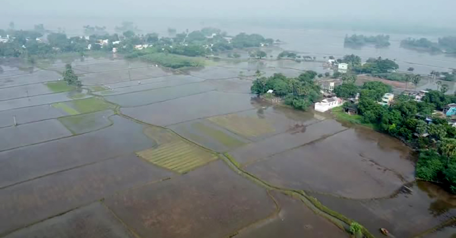 အိန္ဒိယတောင်ပိုင်းတွင် ရေကြီးပြီး လယ်မြေ ဧက ၁ သိန်းခွဲကျော် ပျက်စီး