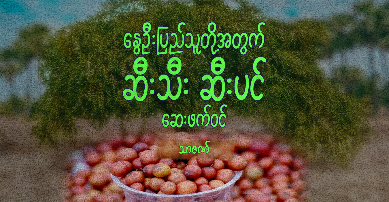 နွေဦးပြည်သူတို့အတွက် ဆီးသီး ဆီးပင် ဆေးဖက်ဝင်
