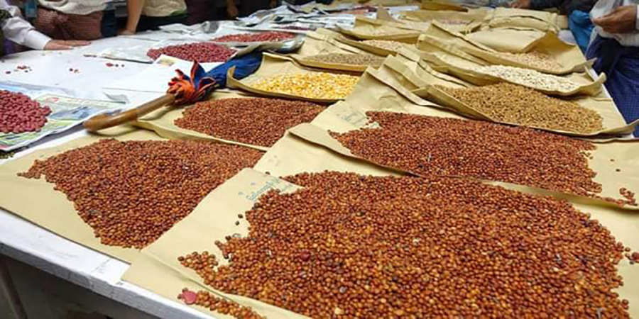 အိန္ဒိယက မတ်ပဲ၊ ပဲစင်းငုံ အကန့်အသတ်မရှိ အခွန်လွတ်တင်သွင်းခွင့် သက်တမ်း ၁ နှစ်ထပ်တိုး