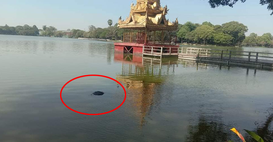 ကန်တော်ကြီးရေပြင်တွင် ကျောင်းဆရာမ ၁ ဦး၏ ရုပ်အလောင်းတွေ့ရှိ