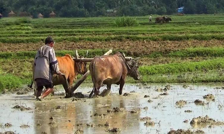 မော်လမြိုင်ကျွန်း၌ စိုက်ဘဏ်ချေးငွေကြွေးကျန်  ပြန်မဆပ်ပါက အရေးယူမည်