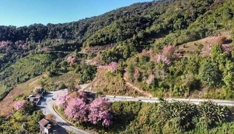 တီးတိန်မြို့နယ်၌ တိုက်ပွဲဖြစ်၊ စစ်တပ်က လေကြောင်းက ဗုံးကြဲ