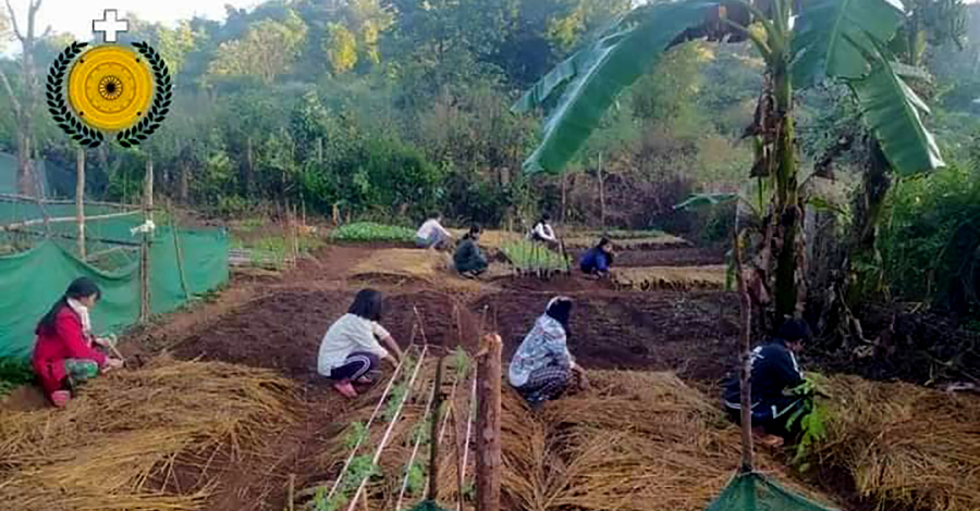 ဖယ်ခုံ စစ်ဘေးရှောင်စခန်းတွင် ရေရှည်စားနပ်ရိက္ခာအတွက် စပါးစိုက်ပျိုး