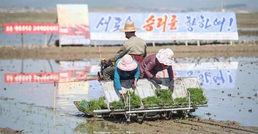 ကိုရီးယားတွင် သွားရောက်လုပ်ကိုင်မည့် အလုပ်သမားအများအပြား ငွေလိမ်လည်ခံနေရ