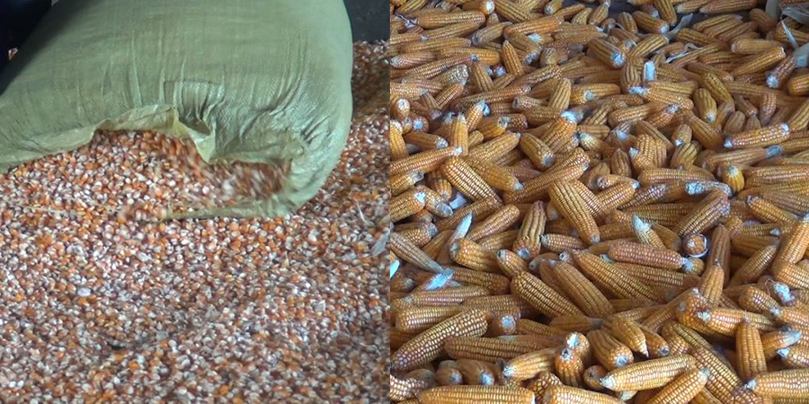 နယ်စပ် ပြောင်းရောင်းချမှု ရပ်သလောက်ဖြစ်နေပြီး ပြည်တွင်းပြောင်းစျေး ကျဆင်း