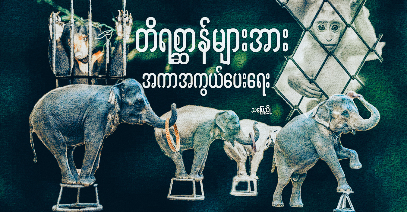 တိရစ္ဆာန်များအား အကာအကွယ်ပေးရေး 